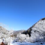 【冬の奥多摩】日帰りで楽しめる：エメラルドグリーンの湖面と絶景ハイキング