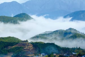 【城歩き】三重赤木城：豊臣秀吉が築いた力の象徴を巡る旅