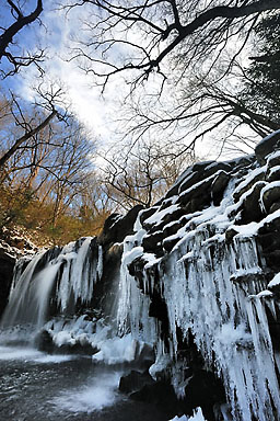 【くじゅう連山】「暮雨の滝」の氷柱が織りなす幻想的な冬の風景:氷の滝を見に行った