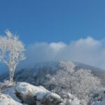 【幻想的】霧島連山大浪池の氷の世界：温暖化がもたらす美の変化