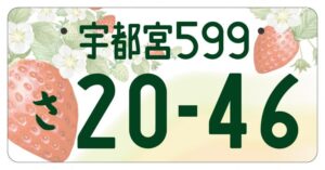 【デザイン増加中】ナンバープレートで楽しむご当地自慢：十勝から南信州までの新デザイン特集