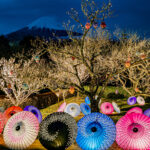 【春のイベント】静岡のおすすめイベント：きたかいマルシェとふじさんパンマルシェを楽しもう！