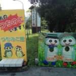 【珍スポット巡り】東海のレアスポット：岐阜・東白川のつちのこ館を体感しよう