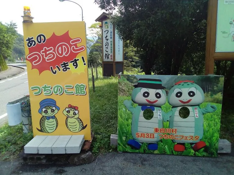 【珍スポット巡り】東海のレアスポット:岐阜・東白川のつちのこ館を体感しよう