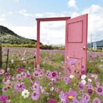 【SNSで話題】愛知の珍しいフォトジェニック珍スポットとおすすめ撮影テクニック