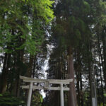 【日本三大下り宮】「草部吉見神社」：参拝時の違和感を徹底解明する