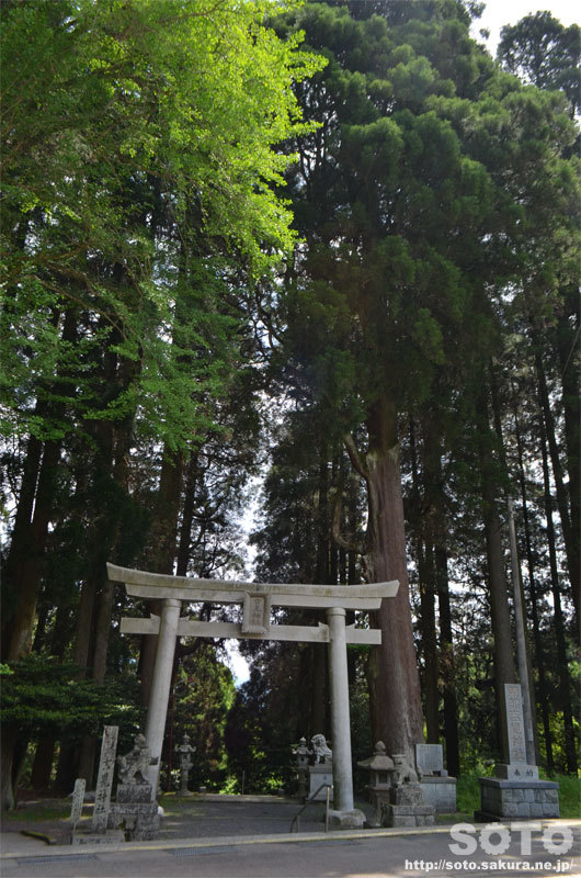 【日本三大下り宮】「草部吉見神社」:参拝時の違和感を徹底解明する