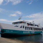 【映画ロケ地】瀬戸内北木島で感じる「メビウスの輪と猫語」の世界：猫語の謎に迫る冒険