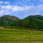 【出雲大社だけじゃない】歴史と文化を味わう！島根西部の隠れた名所とクラフトビール