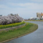 【陸の孤島】関東の穴場、桜川の古い町並みを巡る癒しの旅
