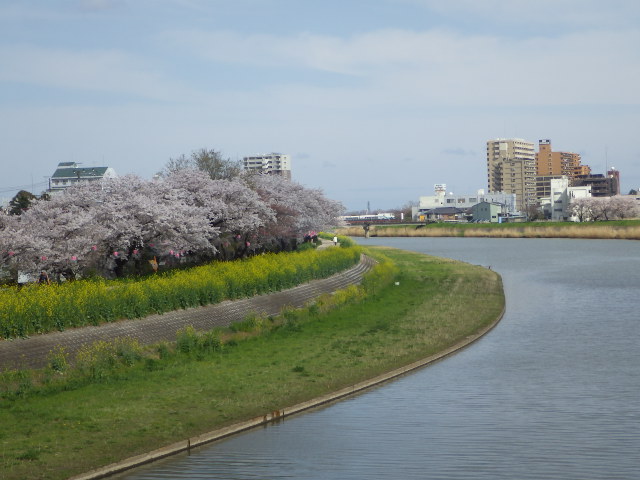【陸の孤島】関東の穴場、桜川の古い町並みを巡る癒しの旅