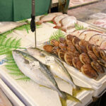 【各地で影響】大寒波の影響で養殖魚が入荷困難！福井の魚市の現状と