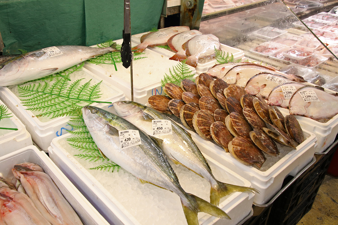 【各地で影響】大寒波の影響で養殖魚が入荷困難!福井の魚市の現状と