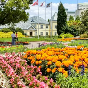 【やっと春ですね】愛知・安城市で楽しむデンパークのスプリングフラワーショー