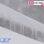 【野菜値上り必至！】居座り寒波：強烈寒波の影響と前倒し収穫の実態