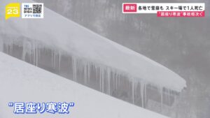 【野菜値上り必至！】居座り寒波：強烈寒波の影響と前倒し収穫の実態