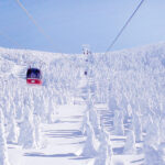 【群がる外国人観光客】全国1位の人気を誇る蔵王温泉の春節ツアー