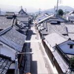 【今週末は】大阪富田林市をお散歩：水路のある風景と西板持旧道を歩いてアオサギを探してみよう