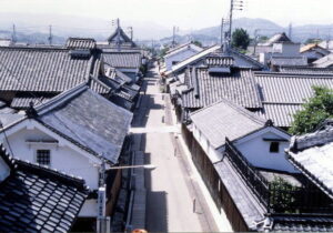 【今週末は】大阪富田林市をお散歩：水路のある風景と西板持旧道を歩いてアオサギを探してみよう