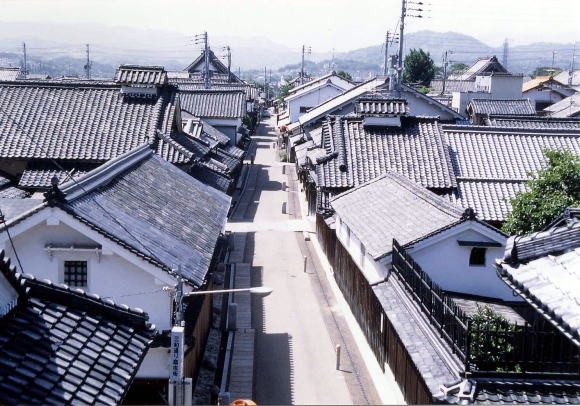【今週末は】大阪富田林市をお散歩：水路のある風景と西板持旧道を歩いてアオサギを探してみよう