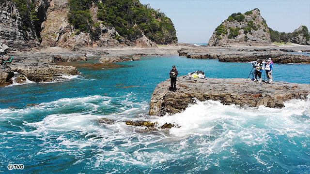 【日本海で海水浴!】海開きの楽しみ:上越市の海水浴場が完全復活!