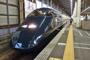 【新潟巡り】パワースポットとご当地グルメを楽しむ！燕三条・弥彦の1泊2日