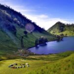 【ダムマニア必見】広島・安芸太田町の温井ダム: ゴールデンウィークには見逃せない放流イベント