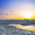 【冬の斜里町】流氷接岸：流氷と世界遺産知床の美しさ