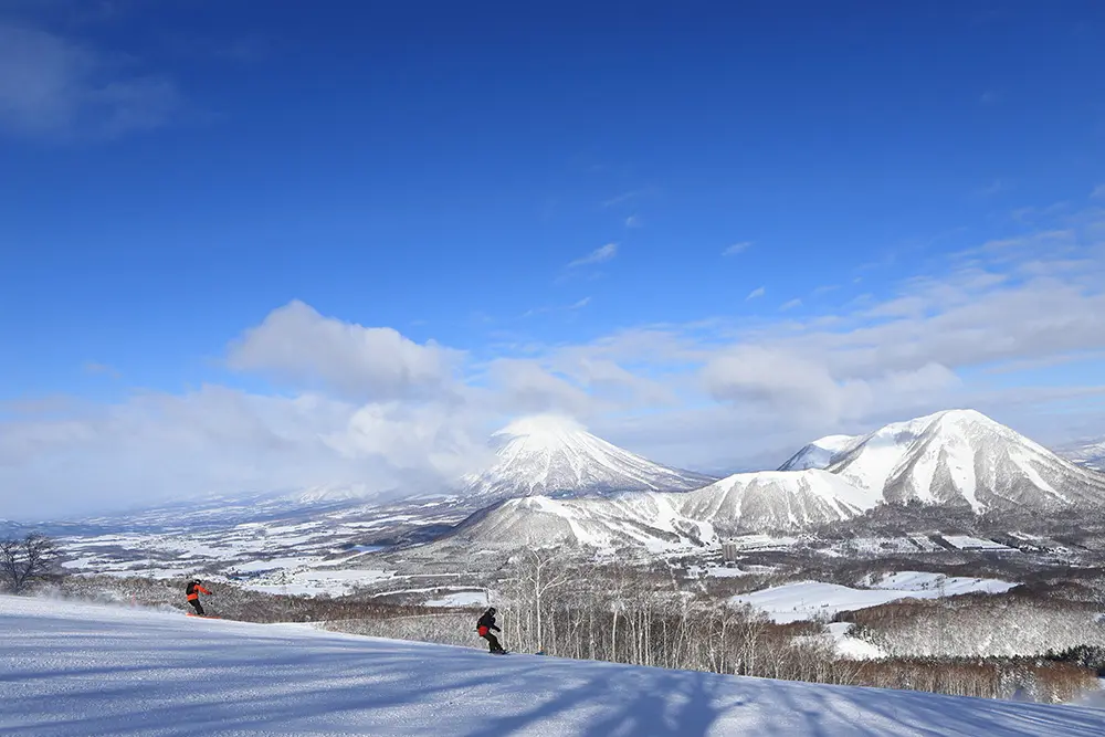 【北海道スキーリゾート】ニセコの外国人客とルスツの日本人客:外国人旅客が占める割合の変化