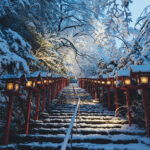 【神秘の雪景色】龍神が宿る水源：京都随一のパワースポット