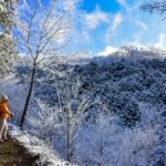 【アウトドア願掛け】キャンプ好き必見：修験系からオモシロ系までの神社3選