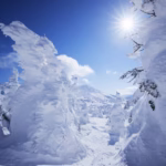 【春節大賑わい】中国人観光客が集まる春節の八甲田：ロープウェーと樹氷の美