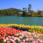 【気球の飛ぶまち】加西市の魅力を探る：歴史遺産と祭りが織り成す地域文化