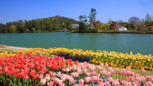 【気球の飛ぶまち】加西市の魅力を探る：歴史遺産と祭りが織り成す地域文化