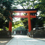 【東京のさくら】旗岡八幡神社で味わう！日本の伝統文化と春のお花見