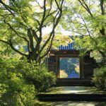 【週末散歩】知られざる歩く旅の世界！宗教と旅を結ぶ歩く旅人のススメ