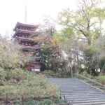 【お城を歩こう】小金城を守り抜いた高城胤辰の戦略と養生