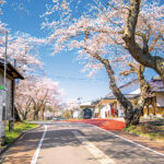 【ローカル線の絶景】爽快感を求めて、只見線で秘境を巡る旅のインパクト