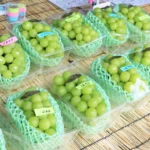 【直売所ビジネス】和歌山で唯一人口増加中の市、直売所とご当地グルメの成功ストーリー