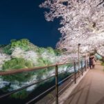 【お花見開始！】桜の名所「江戸城・千鳥ヶ淵」を制覇！お花見を楽しむためのガイド