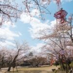 【春です】北陸の最旬映えスポット: SNS映えを狙おう！