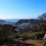 【日帰り縦走】東京湾から相模湾へ！早春の三浦アルプスハイキング体験