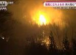 【山火事被害】復興あわびへの脅威：5～6億円の被害の行方