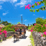 【知ってた？】石垣が語る日本の自然史：2000万年の歴史を持つ石垣の秘密