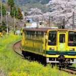 【女性が選ぶ】ぺこぱのローカル鉄道寄り道旅！男性も楽しめる旅番組特集