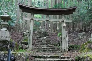 【難病に効くパワースポット！】古代ギリシャ神話を感じる神社！京都大岩神社に迫る
