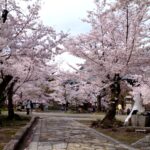 【インバウンドがいない！】人が少なくて静かな観光地！日本の穴場スポットを厳選しました