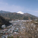 【日帰り低山】都留アルプスのミツマタ群生地と日帰り温泉の楽しみ方