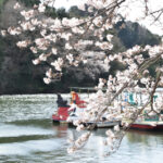 【家族でお出かけ】春のいちご狩りと動物たちとのふれあい！多気町のおすすめスポット