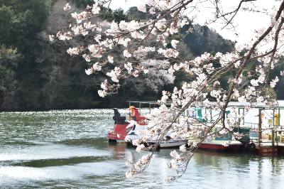 【家族でお出かけ】春のいちご狩りと動物たちとのふれあい！多気町のおすすめスポット